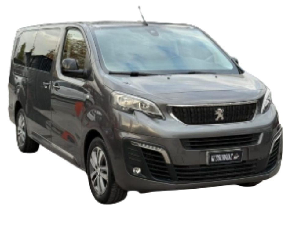 PEUGEOT TRAVELLER